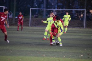 DSC_0151 (1)